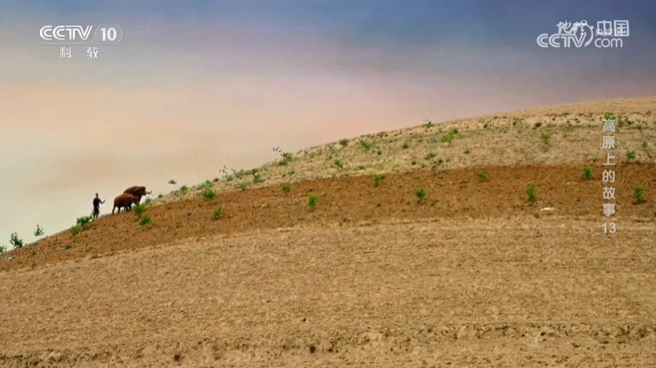 《地理·中国》高原上的故事13