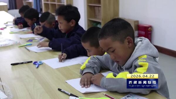 拉萨市举办“书香润心 巧手绘书”世界读书日主题活动