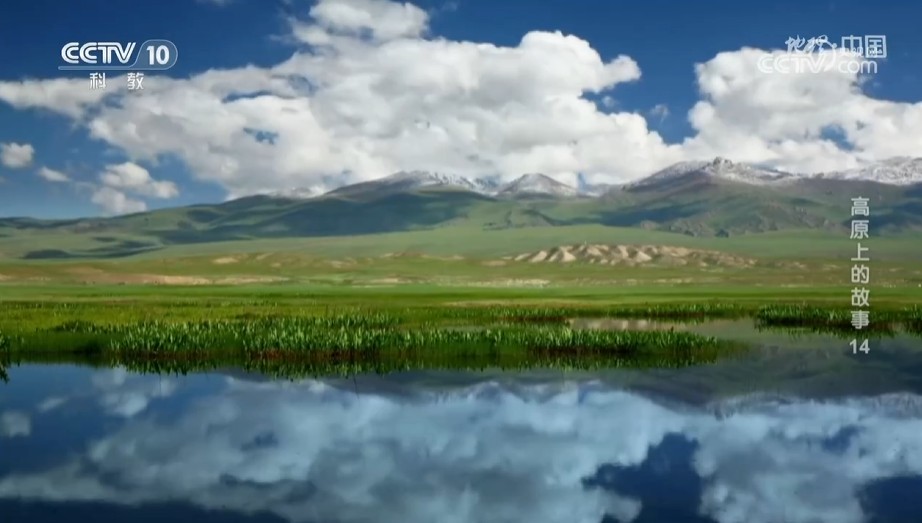 《地理·中国》高原上的故事14