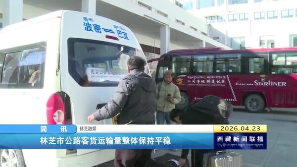 林芝市公路客货运输量整体保持平稳