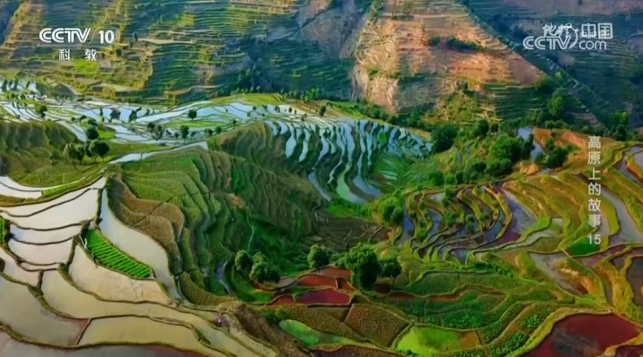 《地理·中国》高原上的故事15