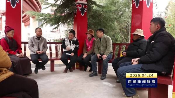 【奋进“十五五”•创建全国民族团结进步模范区】三项计划润藏东 民族团结花常开