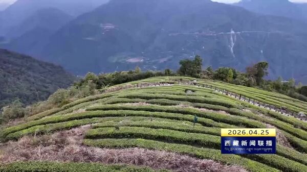 察隅县组织茶叶种植农牧民代表赴墨脱县开展茶产业交流学习