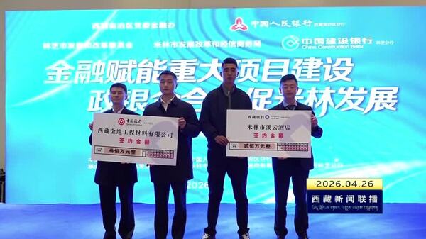 米林市举办2026年首场县域政银企对接会