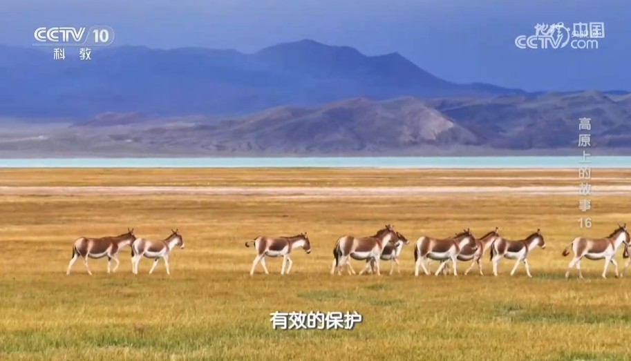 《地理·中国》高原上的故事16