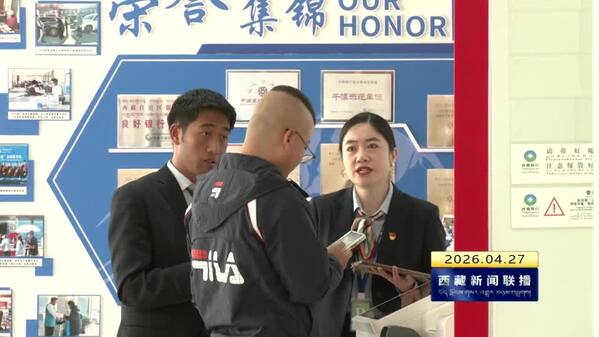 【树立和践行正确政绩观】西藏银行：深学细照笃行 以实干担当引领金融事业高质量发展
