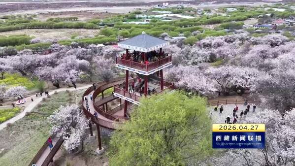 一堂行走的团课：汲取奋进力量 绽放青春光芒