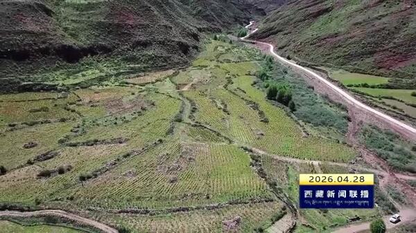 昌都市沙化治理取得显著成效