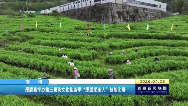 墨脱县举办第三届茶文化旅游季“墨脱采茶人”技能比赛