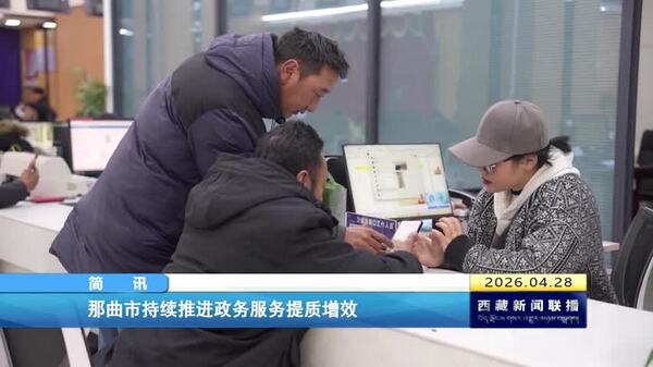 那曲市持续推进政务服务提质增效
