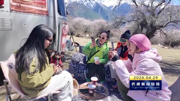 林芝：桃花为媒 暖意满城