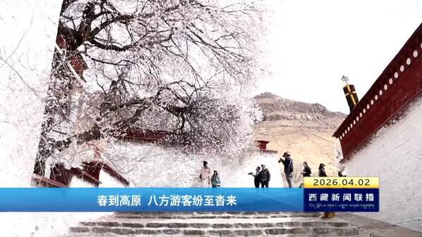 春到高原 八方游客纷至沓来