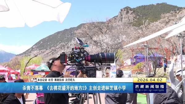 杀青不落幕 《去桃花盛开的地方2》主创走进林芝镇小学