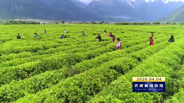 【“四件大事”在西藏•厅局长访谈】文旅答卷映初心 融合发展向未来——专访自治区文化和旅游厅党组副书记 厅长 江华