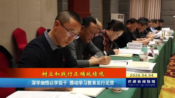 【树立和践行正确政绩观】深学细悟以学促干 推动学习教育见行见效