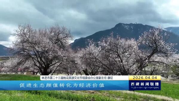 林芝市第二十三届桃花旅游文化节开幕