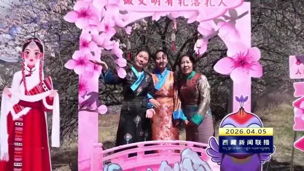 洛扎县拉康镇桃花旅游交流会开幕