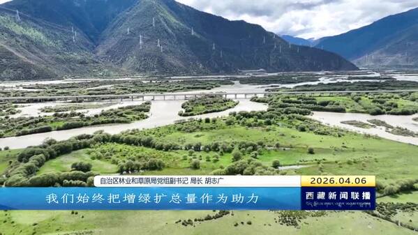 【“四件大事”在西藏•厅局长访谈】“十四五”生态答卷亮眼 “十五五”擘画绿色新篇 ——专访自治区林业和草原局党组副书记 局长 胡志广