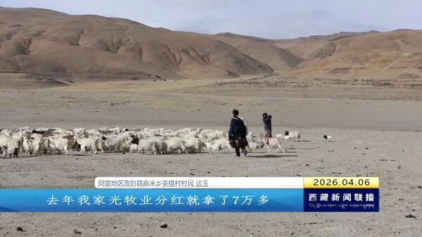 阿里改则县：村集体经济首破亿元 群众分红超七千余万