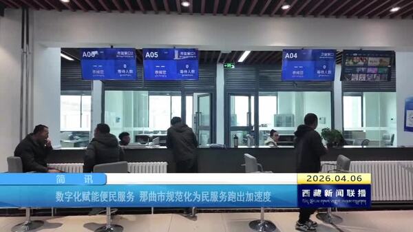 数字化赋能便民服务 那曲市规范化为民服务跑出加速度