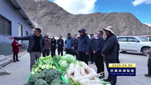 西藏自治区2026年农资打假启动仪式暨放心农资下乡宣传活动在琼结县举行