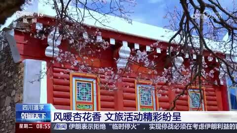 四川道孚：风暖杏花香 文旅活动精彩纷呈