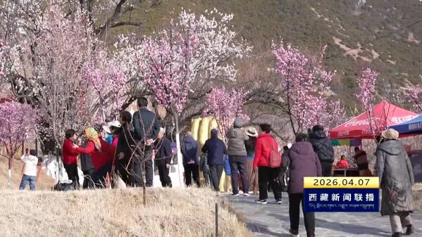 林芝桃花旅游文化节 多元活动点燃春日盛宴