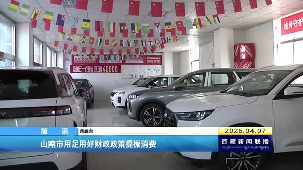 山南市用足用好财政政策提振消费