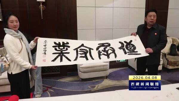 拉萨市2026年春季书法雅集活动举办