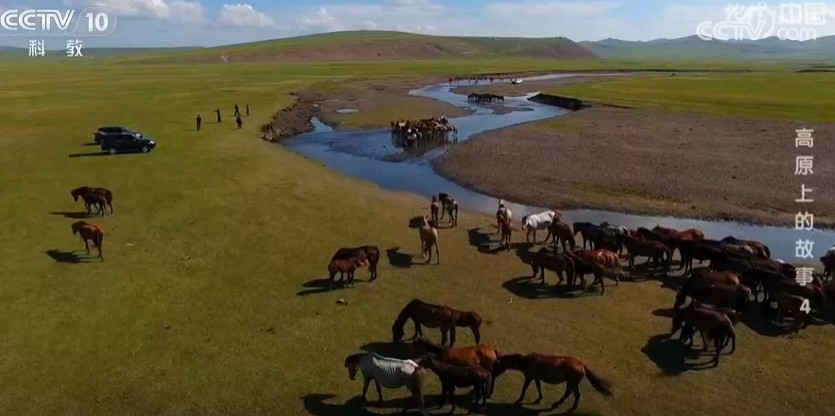 《地理·中国》高原上的故事4
