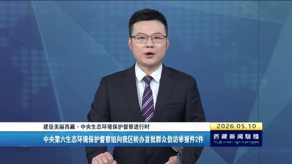 中央第六生态环境保护督察组向我区转办首批群众信访举报件2件