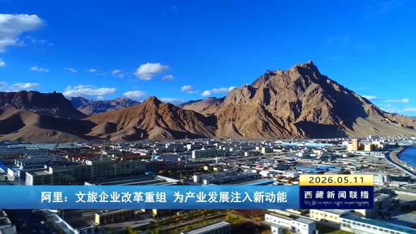 阿里文旅企业改革重组 为产业发展注入新动能