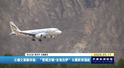 云端文旅新体验：“雪域古城•圣地拉萨”主题航班通航