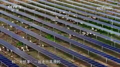 《荒滩上的牧羊曲》第2集