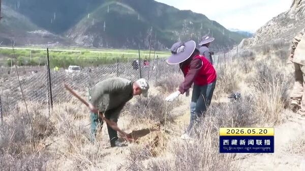 林芝市扎实开展2026年国土绿化行动