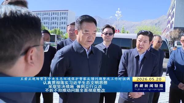 王君正现场督导中央生态环境保护督察反馈问题整改工作时强调 认真贯彻落实习近平生态文明思想 采取坚决措施 做到立行立改 不折不扣推动问题全面彻底整改