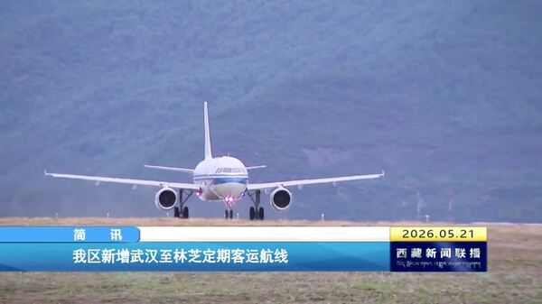 西藏自治区新增武汉至林芝定期客运航线