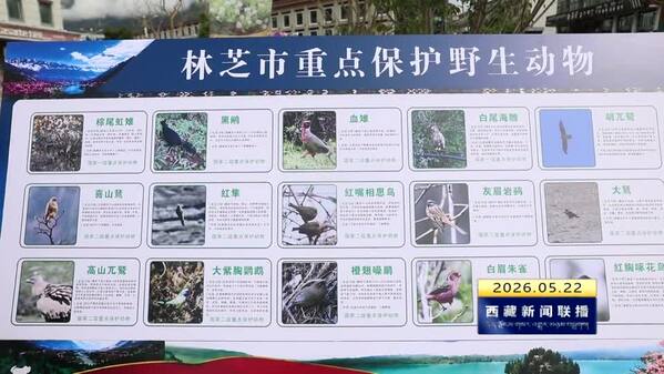 西藏自治区开展国际生物多样性日主题宣传活动