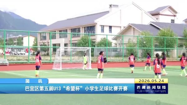 巴宜区第五届U13“希望杯”小学生足球比赛开赛