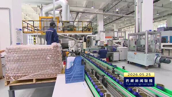 西藏自治区2025年营商环境评价结果发布