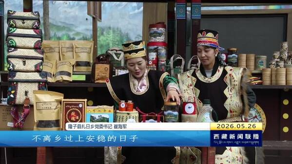 【奋进“十五五”·创建国家固边兴边富民行动示范区】【改进作风“见”落实】隆子县：守边有担当 兴业有力量 以作风转变促固边兴边富民
