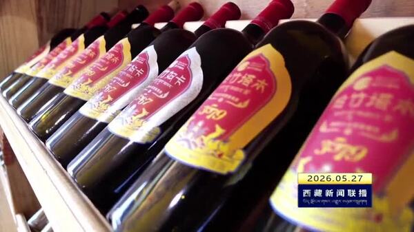 桑日县举办世界葡萄酒大师品鉴会