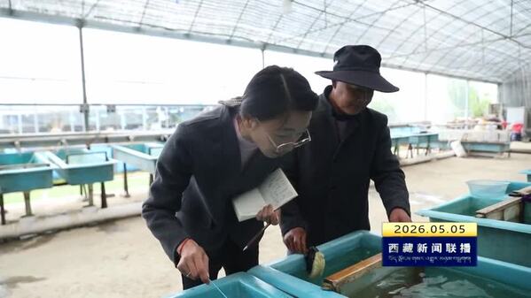 【节日我在岗】田间地头过“五一”：高原农技人以实干助力乡村振兴