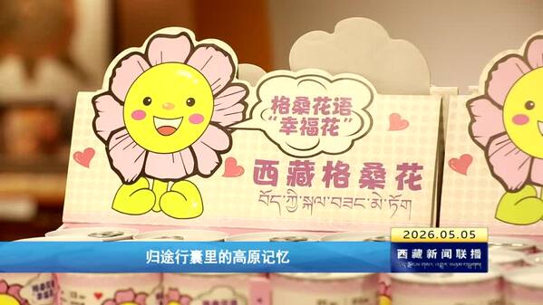 归途行囊里的高原记忆