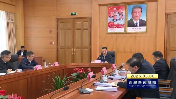 王君正主持召开自治区党委机构编制委员会会议