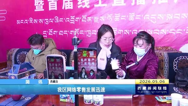 西藏自治区网络零售发展迅速