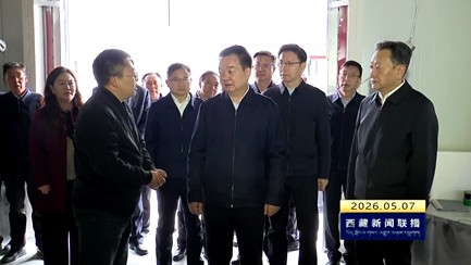 王君正在拉萨市调研时强调 牢固树立和践行正确政绩观 更好统筹发展和安全 全力做好安全生产工作 以实干实绩推动社会主义现代化新西藏建设