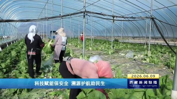 科技赋能保安全 溯源护航助民生