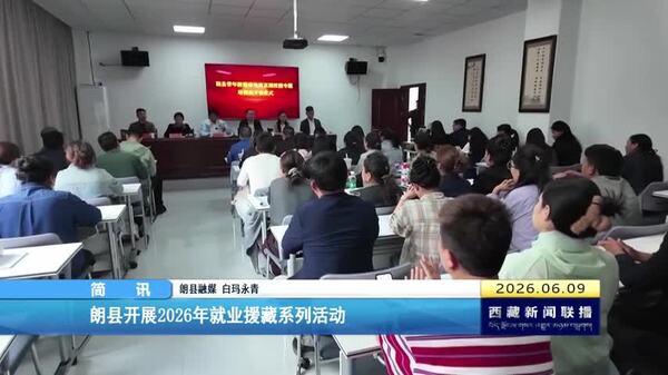 朗县开展2026年就业援藏系列活动