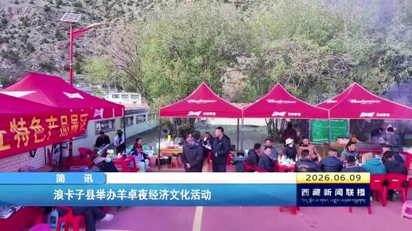 浪卡子县举办羊卓夜经济文化活动